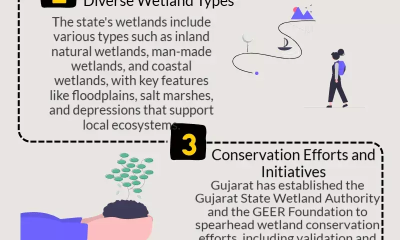 21% of Indias wetlands are in Gujarat, highest in country