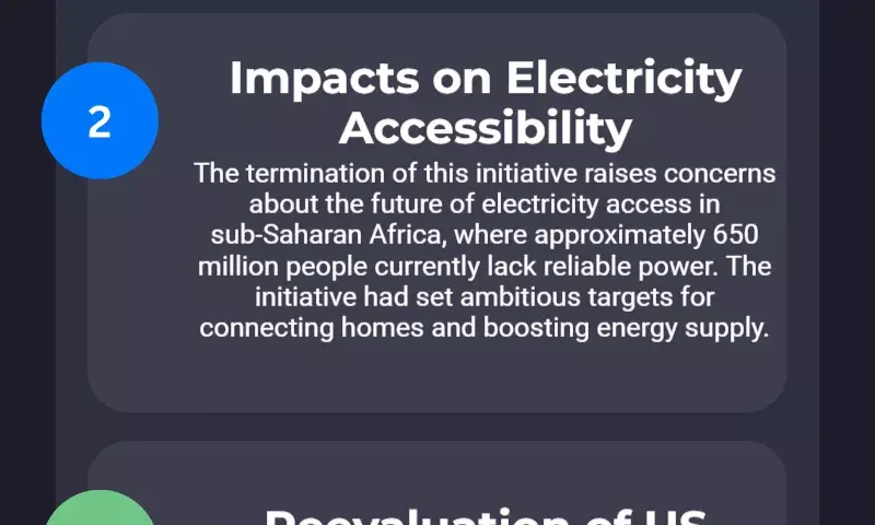 Donald Trump ends US initiative to boost electricity access in Africa