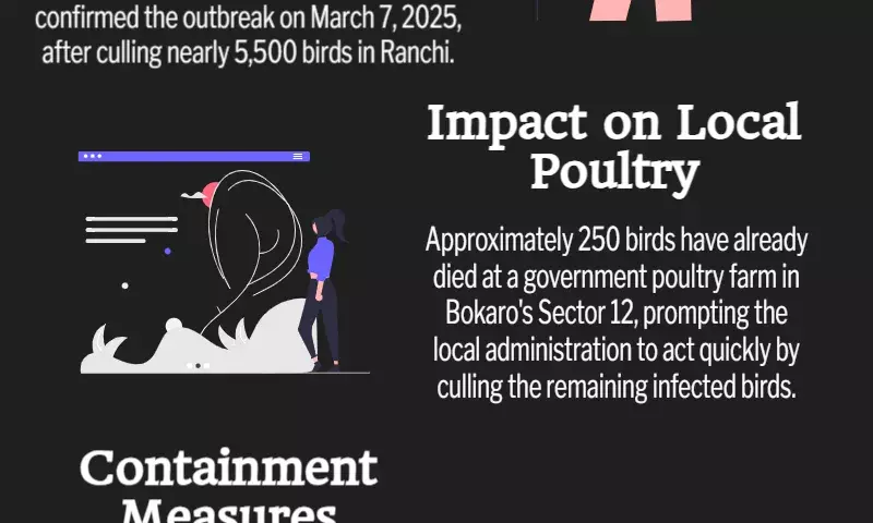 Jharkhand: Bird flu spreads to Bokaro after Ranchi outbreak