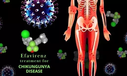 Researchers at IIT Roorkee find a possible medication to cure chikungunya and other illnesses spread by mosquitoes.