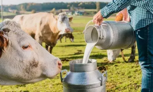 Survey reveals concerning number of Americans still believe raw milk is healthier than pasteurised milk