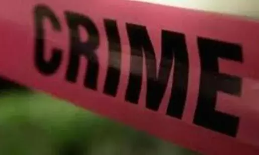 Parents kill three children in Rajasthan, attempt suicide: Police