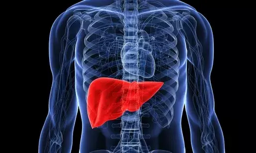 Doctor shares 5 signs of fatty liver you can easily check at home: From unexplained belly fat to sudden fatigue
