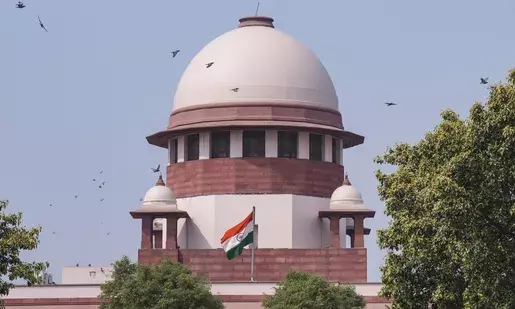‘We are alleged to be encroaching upon parliamentary, executive functions’: Supreme Court