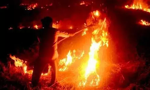 Farmers burning stubble won’t get ₹6,000 benefit, can’t sell at MSP: Mohan Yadav