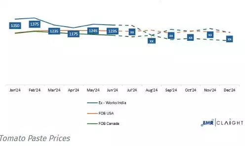 Tomato Paste Price Trend 2025, Chart, Industry Analysis and Forecast