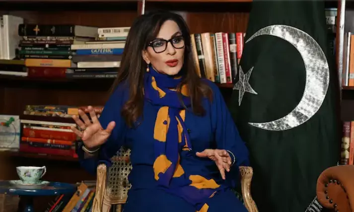 Pak senator admits terror record, stumbles on FATF gray list query