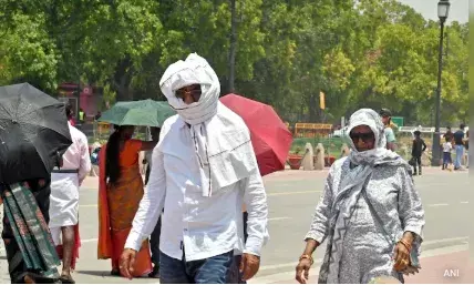 Delhi bakes at 43.8°C, seasons hottest day recorded