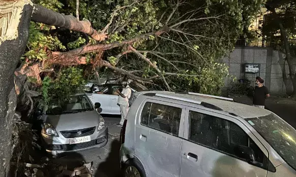 Haryana storms: Hail, winds wreck transformers & trees in 4 districts