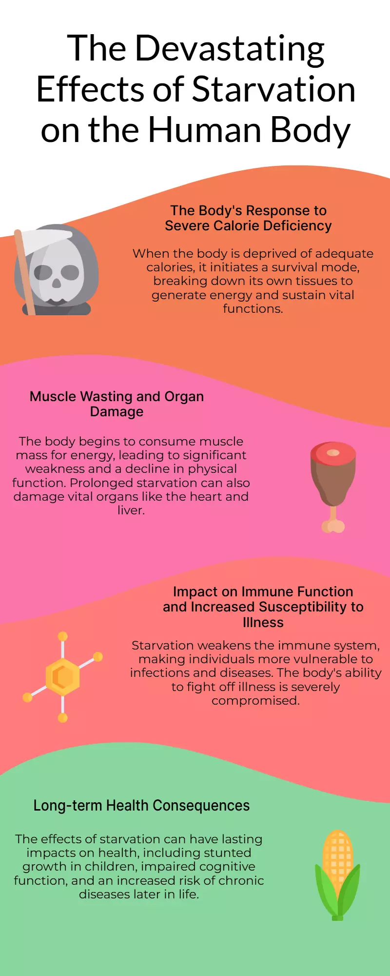 Gaza doctor explains how starvation forces body to consume its tissue Gaza doctor explains how starvation forces body to consume its tissue