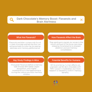 Dark Chocolate Delight or Deception? New Study Reveals Truth About Memory Boost Claims